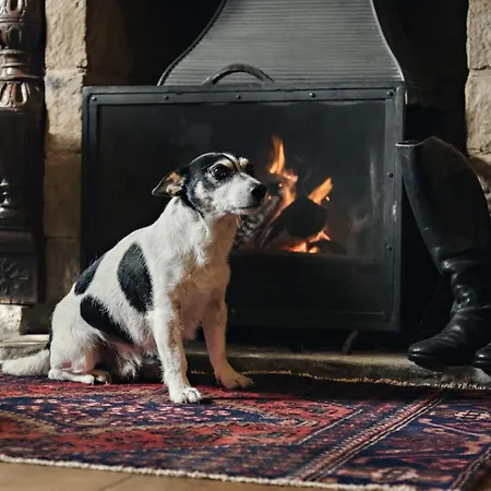 The White Swan Πανδοχείο Pickering