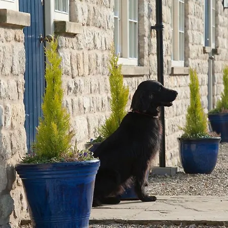 The White Swan Πανδοχείο