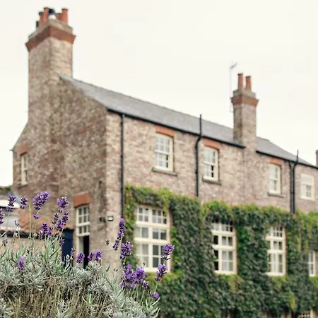 The White Swan 4*