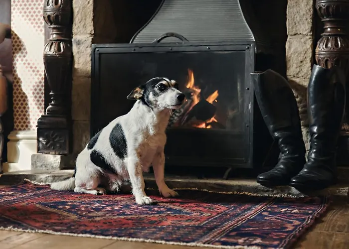 The White Swan Mini-hôtel Pickering