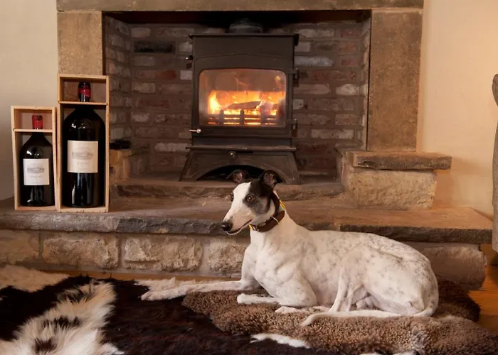 The White Swan Mini-hôtel Pickering